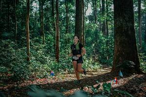 BIB: 
                            <button type="button" onclick="openModal(26132379)" class="btn btn-primary btn-sm float-right btn-popup" data-toggle="modal" data-target=".modal-high-quality">
                        <i class="fas fa-shopping-cart"></i> Add to Cart
                    </button>
                                            <button type="button" onclick="isThisMe(26132379, true)" class="btn btn-success btn-sm float-right btn-popup btn-isme hidden" data-toggle="tooltip" data-placement="bottom" title="นี่คือรูปของคุณใช่ไหม คลิกที่นี่เพื่อเอาเข้าอัลบั้ม">
                        <i class="fas fa-plus"></i> Add to album
                    </button>
                    <button type="button" onclick="isThisMe(26132379, false)" class="btn btn-warning btn-sm float-right btn-popup btn-isnotme hidden">
                        <i class="fas fa-ban"></i> Remove from album
                    </button>